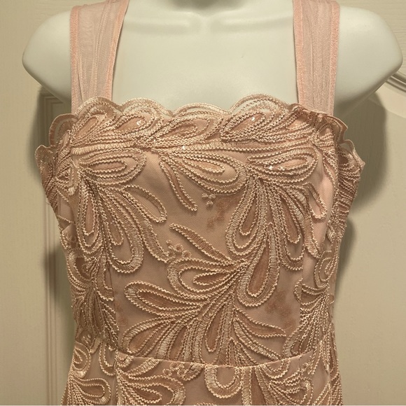 Gorgeous Blush Adrianna Papell Gown. Petite hemline. Mother of the Bride dress. - Picture 5 of 16